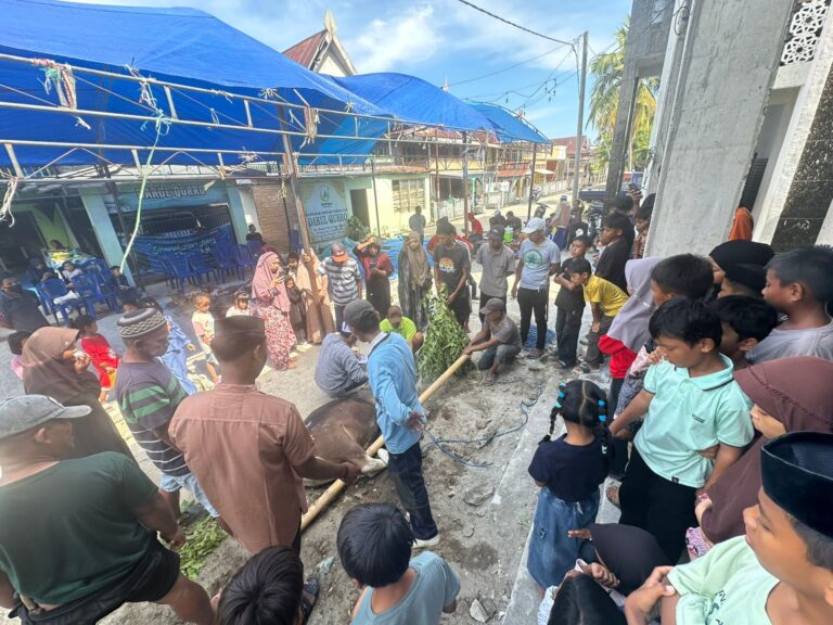 Mengapa Qurban Darul Qurro Kenje Tahun Ini Semakin Dipercaya? 14 Ekor Sapi Dikelola dengan Semangat Gotong Royong